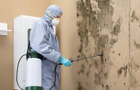 Best Residential Mold Inspection & Testing in Newcomerstown, OH